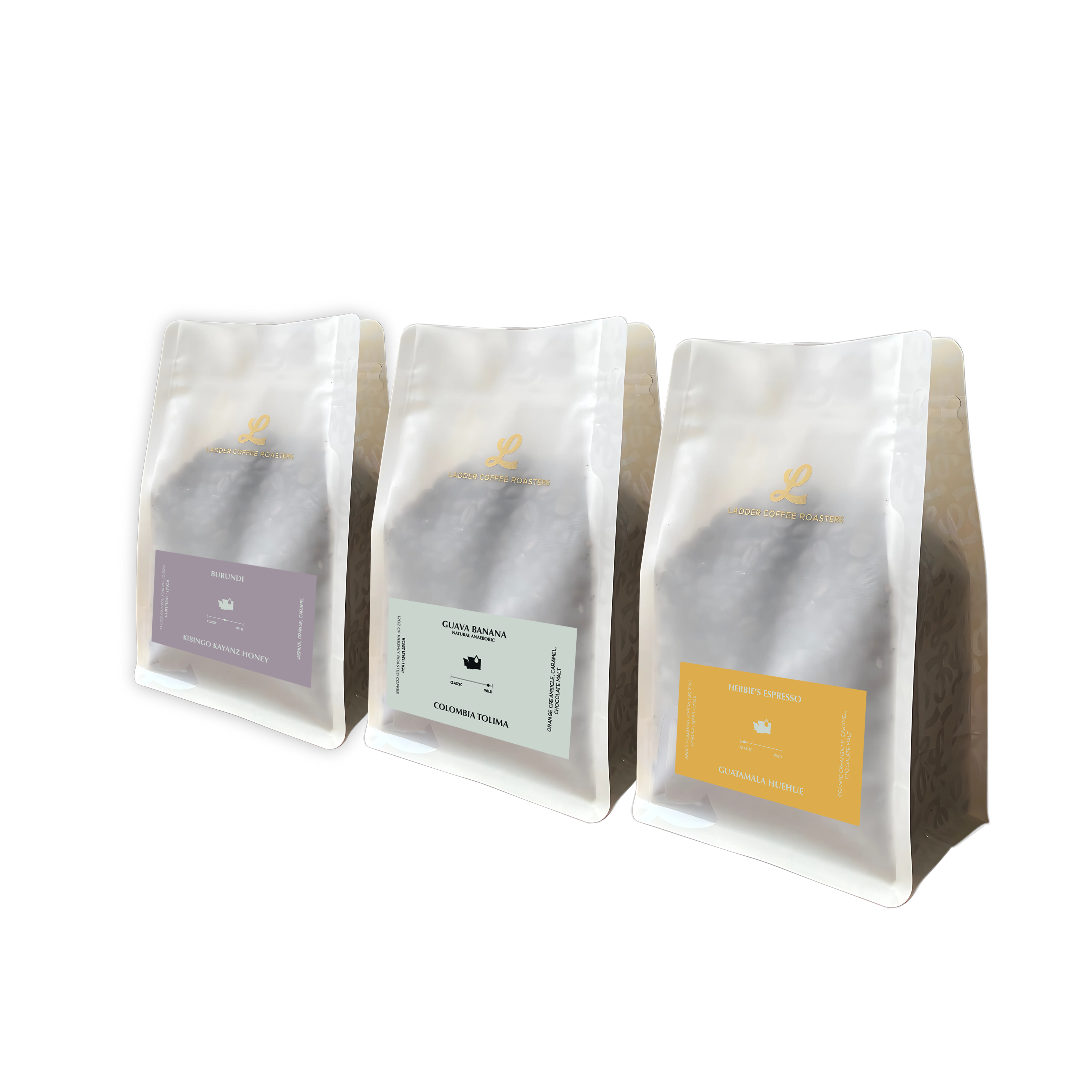 Single Origin Sample Pack
